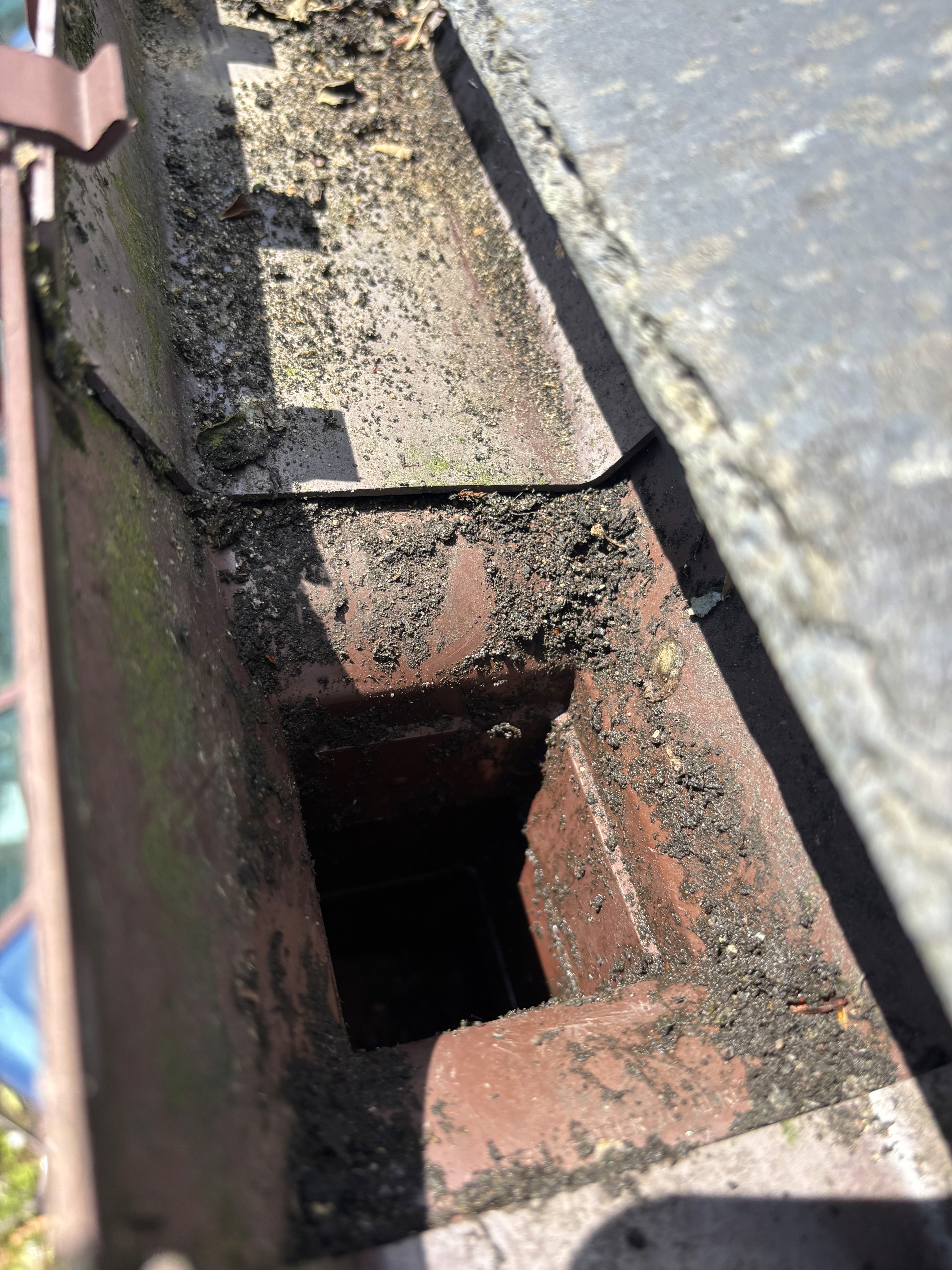 Gutter cleaning service