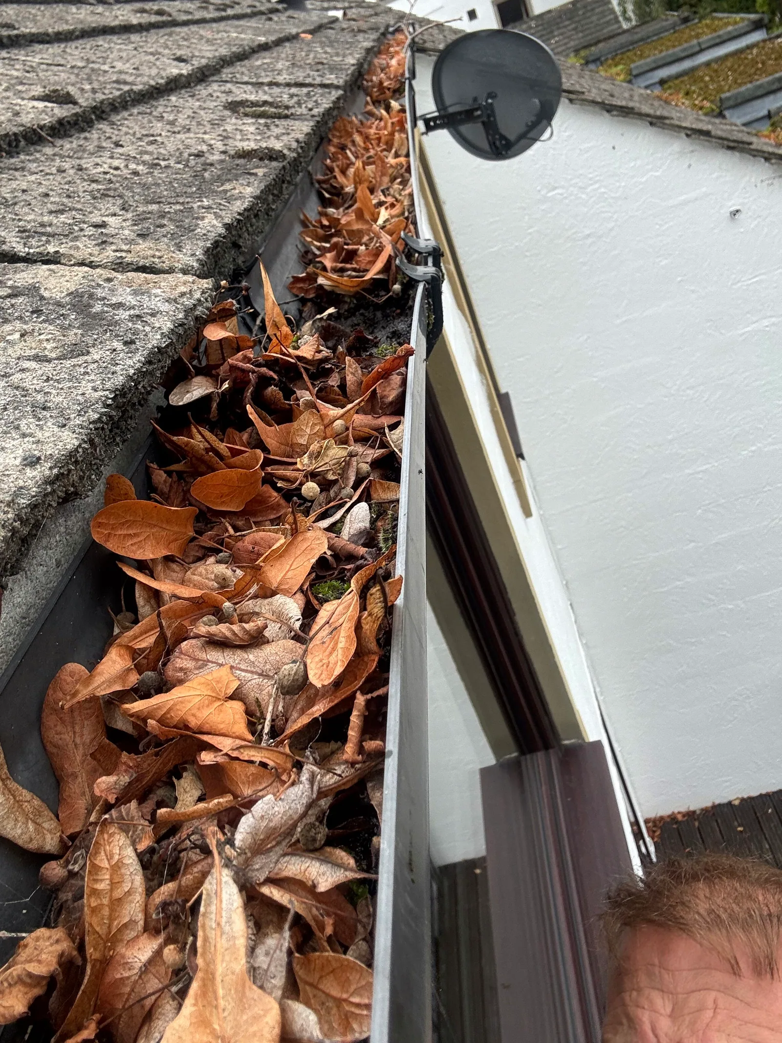 Blocked gutter before cleaning