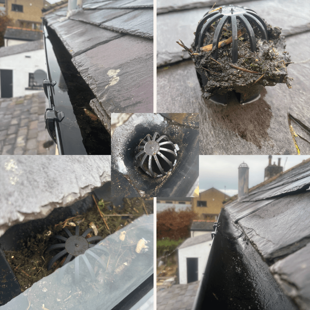 professional gutter cleaning service Yorkshire