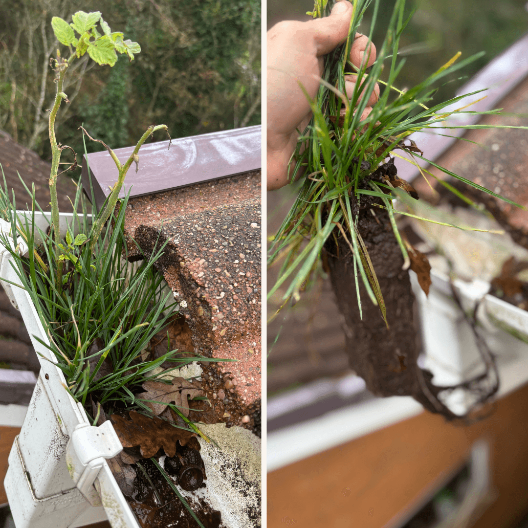 Terrace un-blocking downpipe clean