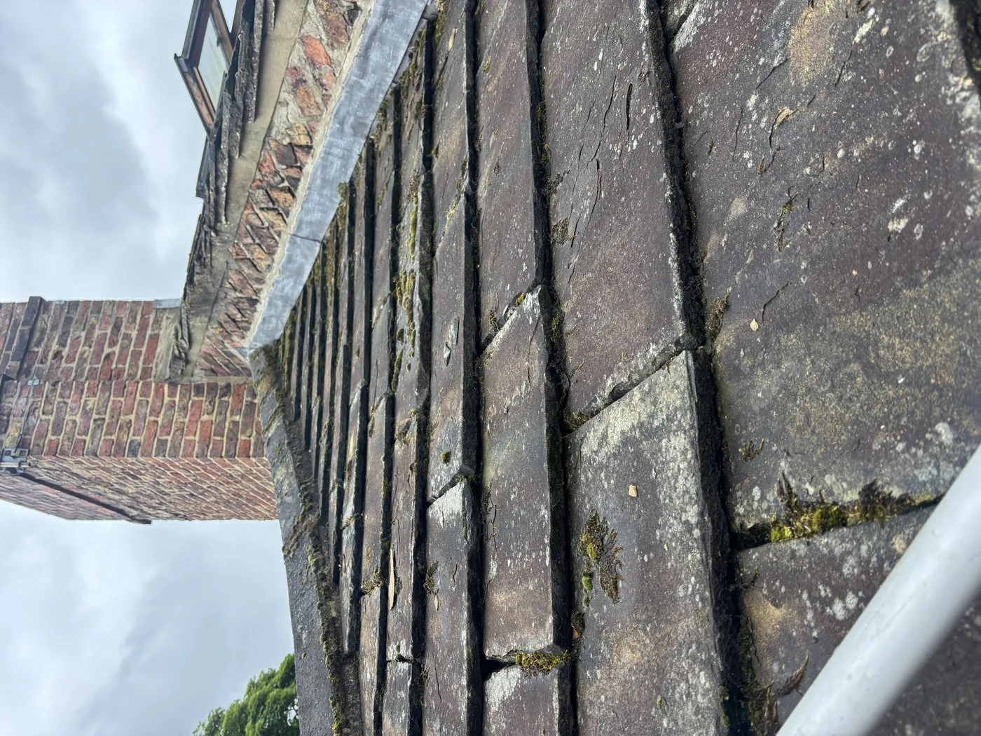 Dense moss growth on stone slate roof at base of gable wall — Knaresborough listed building
