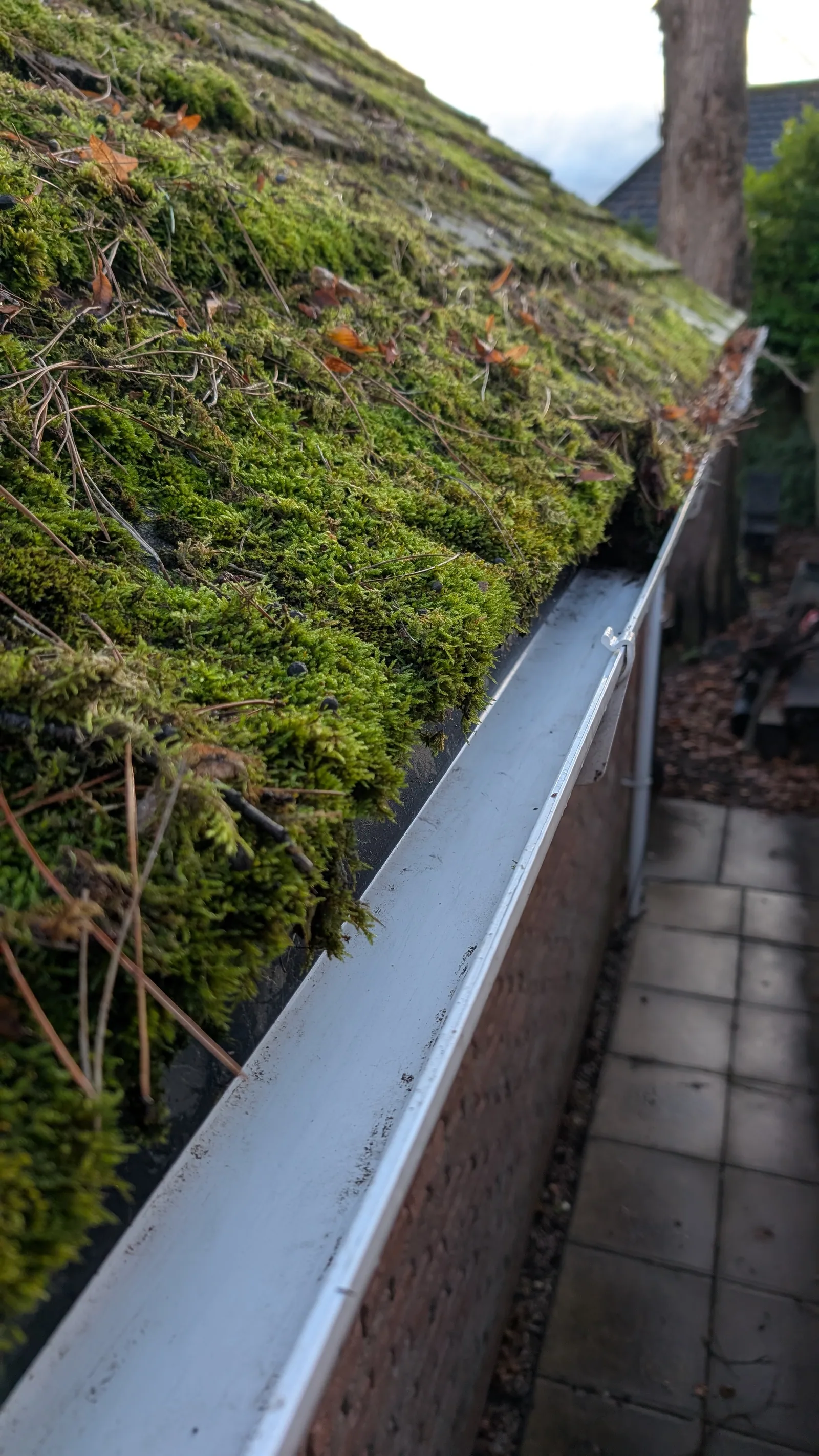 Professional gutter cleaning work in Yorkshire — Hugo's