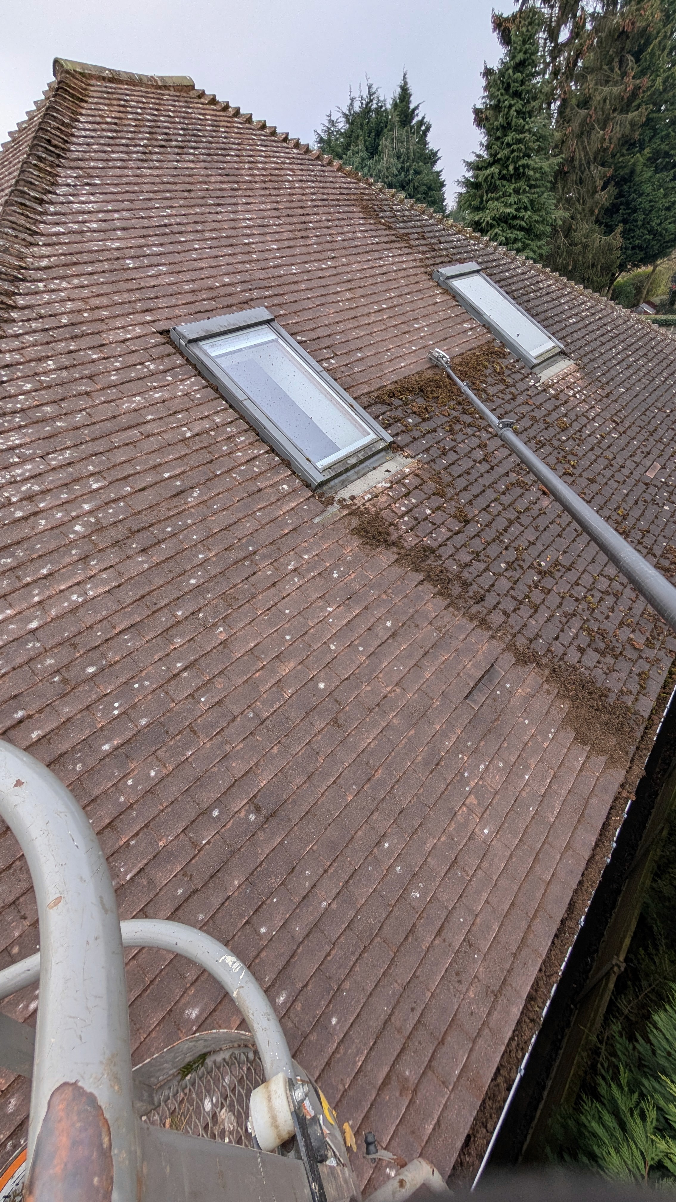 moss removal in progress — roof cleaning Yorkshire