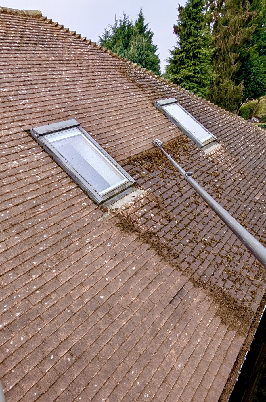 Roof and gutter cleaning in Skipton