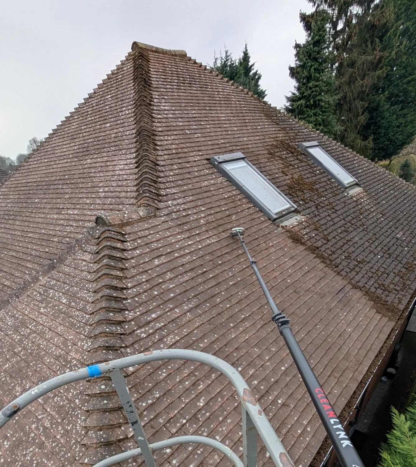 Heavy moss growth on a roof in Otley showing tile lifting and water damage