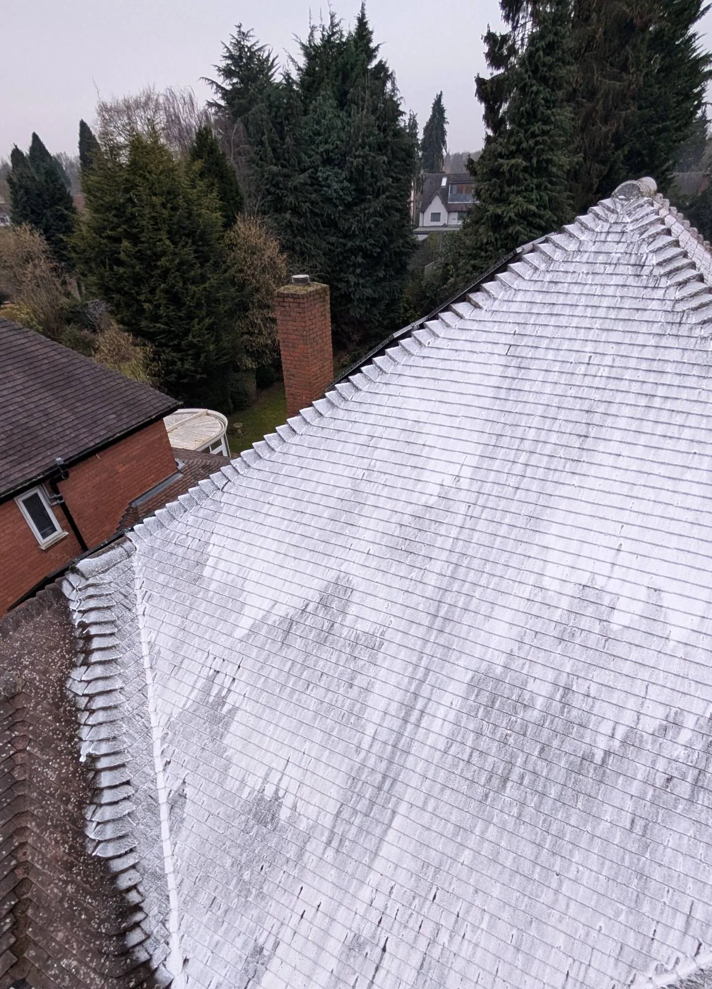 Manual roof moss removal on a York period property by Hugo&rsquo;s