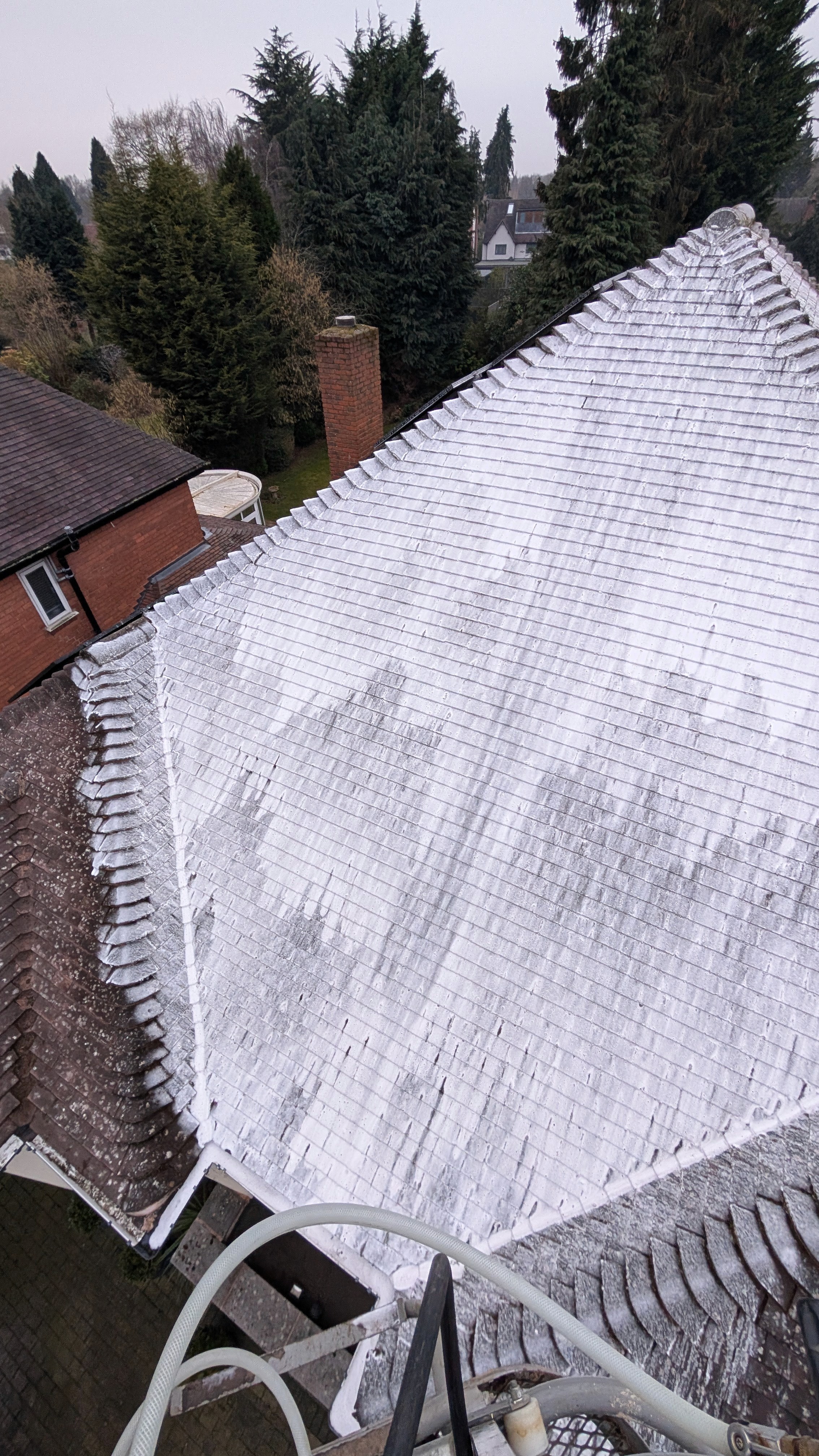 before and after biocide treatment on roof tiles Yorkshire