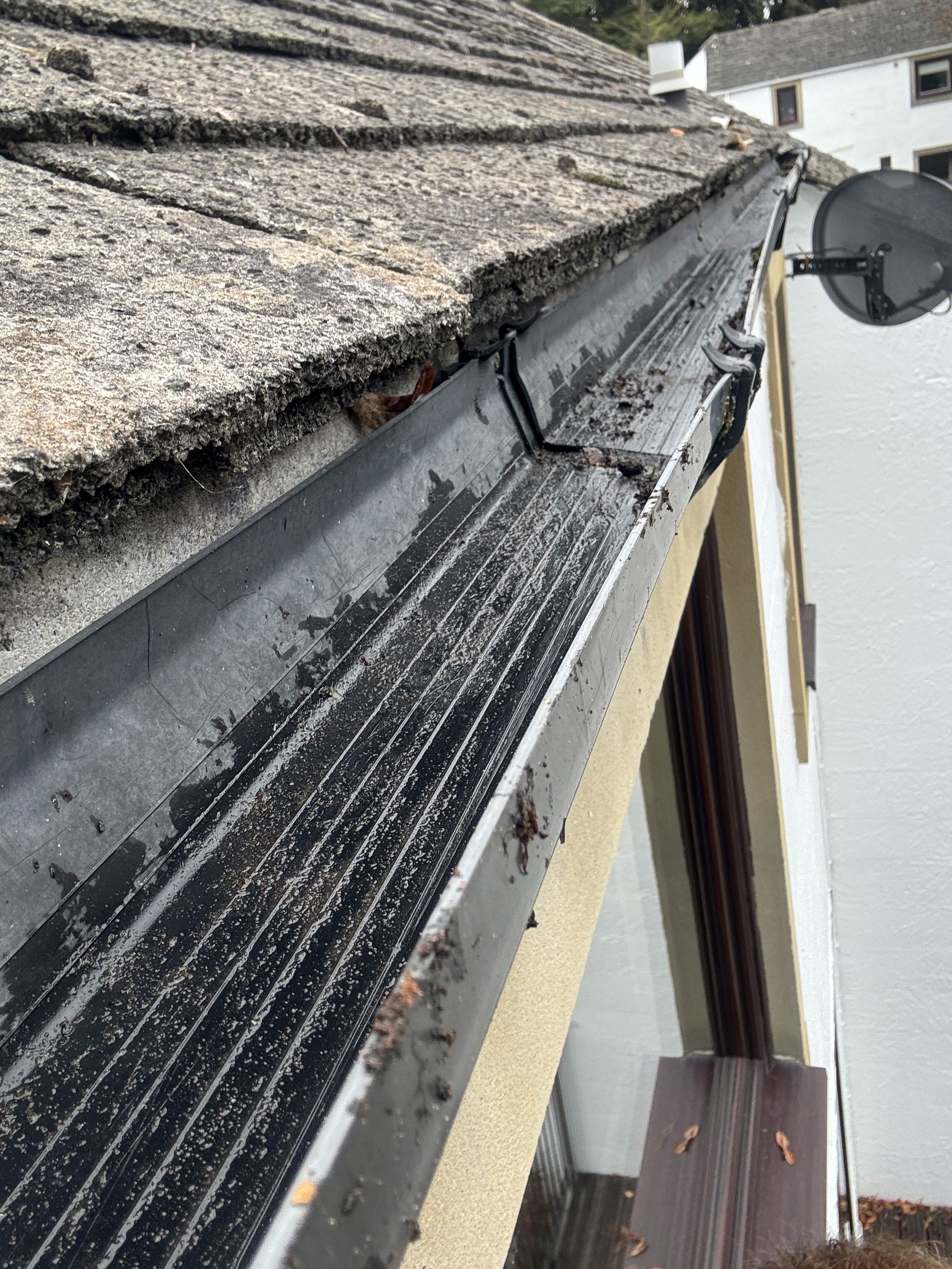 professional gutter cleaning Yorkshire — Hugo's Roof & Gutter Cleaning
